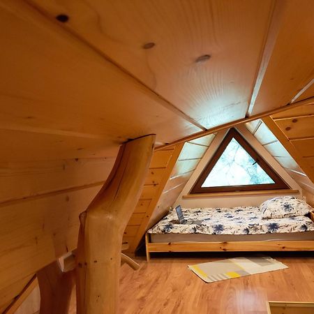 Apartament An-Mi Zakopane Zewnętrze zdjęcie